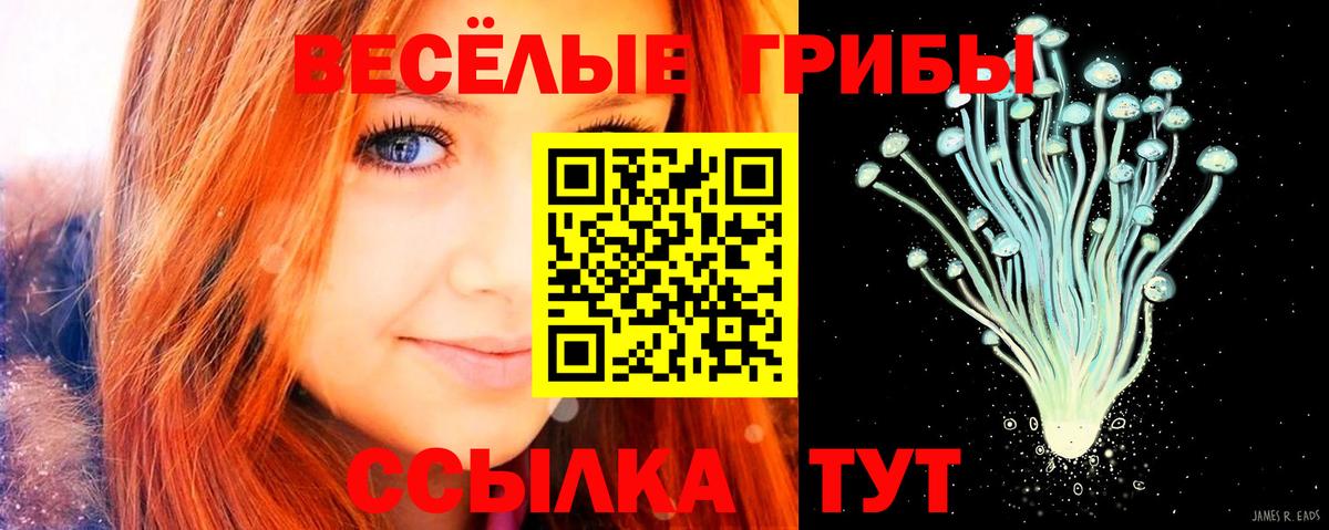 Алушта  Псилоцибиновые грибы ЛСД  Вход с VPN 